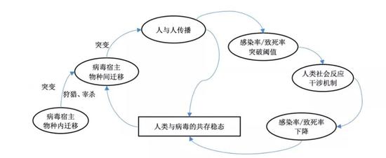  人类与病毒的相处