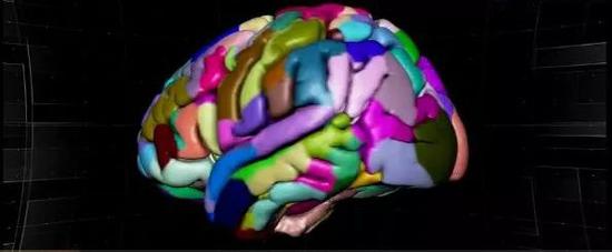 脑网络组图谱，让人脑有了精准“地图”图谱纤维束水分子