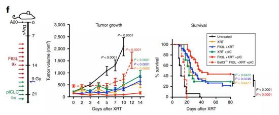 ▲这套抗癌疫苗系统在小鼠模型中成功控制了肿瘤生长，也取得了良好的生存率（红色实线）（图片来源：参考资料[1]）
