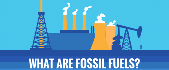 来源：https：//ocean.si.edu/conservation/gulf-oil-spill/what-are-fossil-fuels