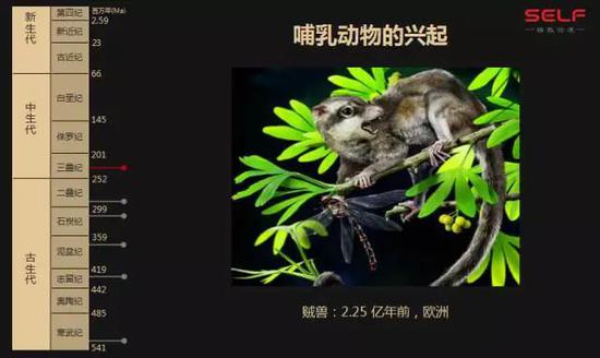 先有鸡还是先有蛋?我敢肯定地告诉你先有蛋