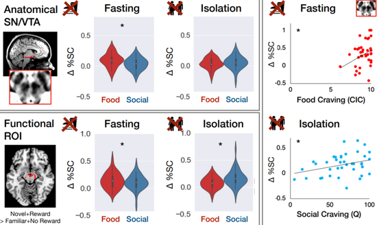   图 | 禁食和隔离后大脑的变化（来源：The need to connect: Acute social isolation causes neural craving responses similar to hunger）