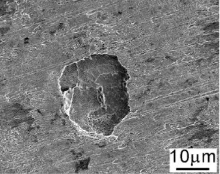 图5 碳钢浸泡在硫酸盐还原菌海水里产生小腐蚀坑 （图片来源：中国科学院海洋研究所陈士强博士学位论文）