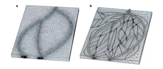 ▲研究人员们用计算机模拟了小血管网络（图片来源：参考资料[1]）