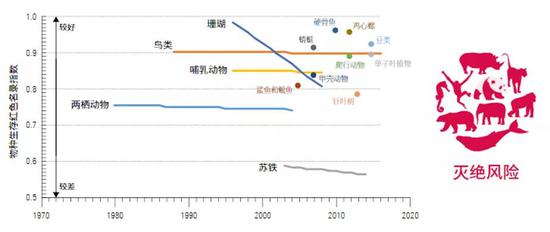 在人类活动中艰难生存的物种。两栖动物生存堪忧,珊瑚的衰退异常刺目。|WWF