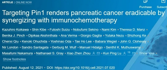 70%小鼠消除胰腺癌！华人科学家提出攻克癌症之王新方法|癌细胞