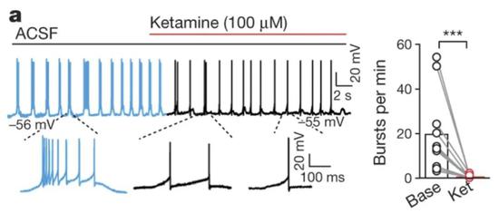 外侧缰核中的单细胞记录：相比于对照（ACSF，蓝色），加入了氯胺酮后（Ketamine，黑色）的外侧缰核神经元失去了高频率簇状放电的能力。来源：Cui et al。， 2018， Nature