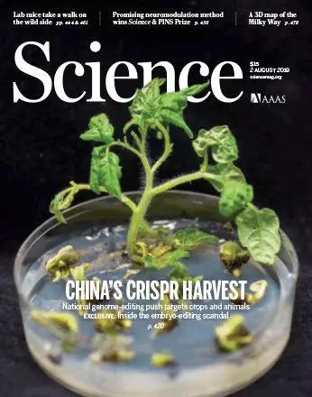 《科学》特刊：还原真实，CRISPR在中国科学基因编辑还原