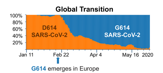席卷全球，D614G突变真的增加了新冠传播性？细胞新冠肺炎