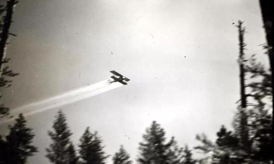  1948年，将DDT喷洒在美国俄勒冈州的云杉林上。| 图片来源：CB Eaton/USDA Forest Service/Wikimedia