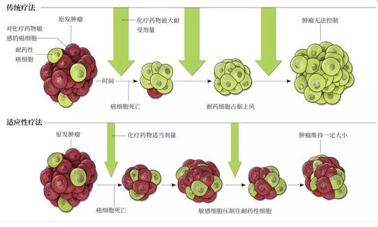 治疗癌症的最好方法，是不要杀光所有癌细胞？癌细胞肿瘤细胞方法