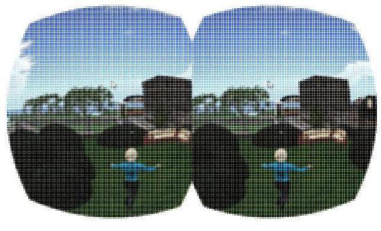 VR头显因分辨率不足而导致“纱窗效应”