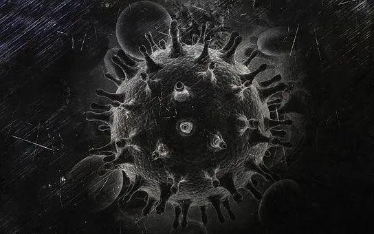 HIV病毒 图源:pixabay