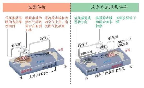 厄尔尼诺现象示意图(图片来源:搜狐网)