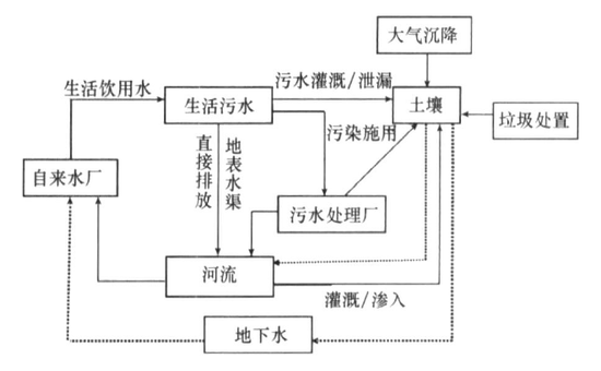 　人工麝香在环境中的来源和迁移途径