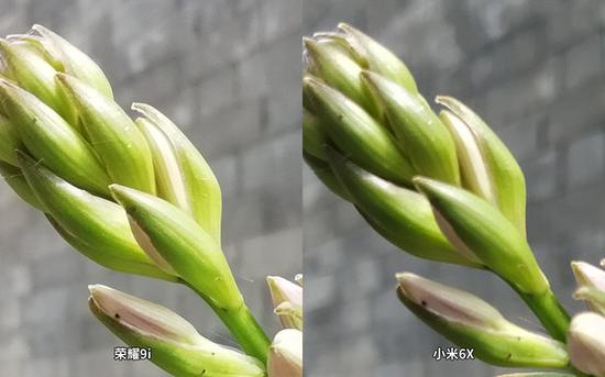 样张放大