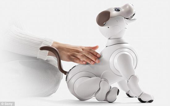 索尼：更聪明的Aibo机器狗将于9月登录美国市场