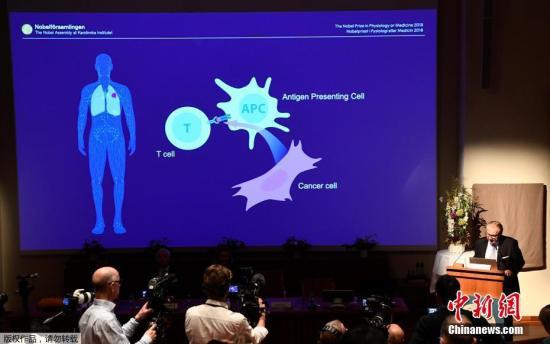 日媒：诺奖成果打破百年抗癌困局 开创全新免疫疗法免疫疗法诺奖癌细胞