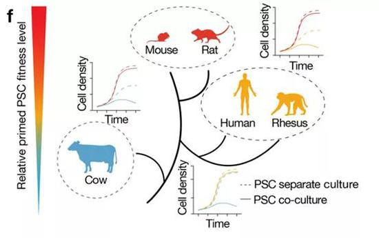 进化树上进化距离与竞争力状态的不同（图片来源：Nature）