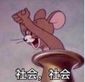 有网友的提议就正好戳中了Zoe的心意!