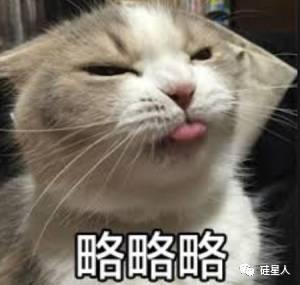 还买什么比特币,快来以太坊里“链养猫”!