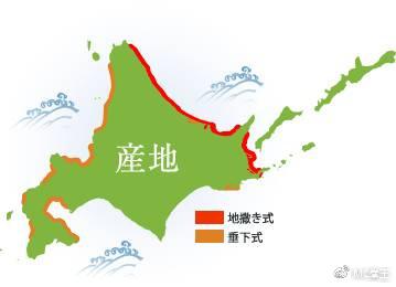北海道扇贝养殖方式分布