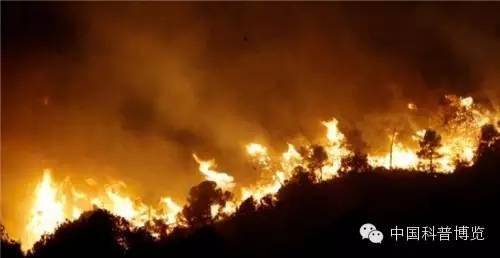 森林大火导致天空中烟雾弥漫