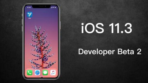 苹果发布iOS 11.3的Beta2版本 降频开关被加入其中