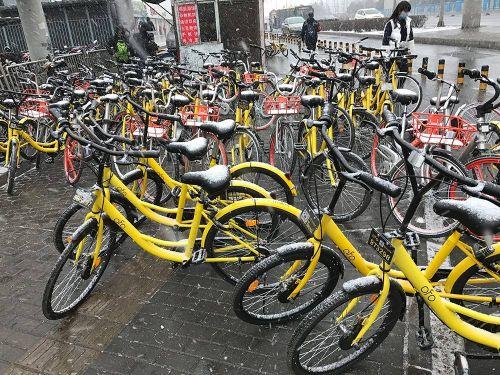 上海市消保委：共享单车成投诉热点 同比增加超40倍