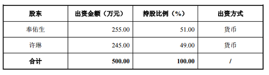 多米音乐前身彩云在线成立时的股东、出资金额及持股比例