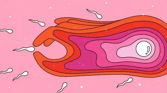 颠覆孟德尔定律：卵细胞也会主动选择精子？