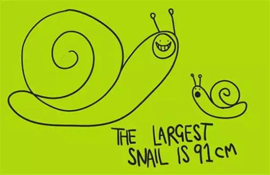  最大的蜗牛会长至91厘米。
