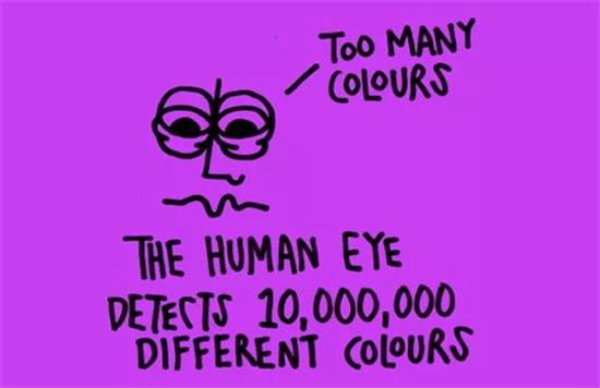 人的眼睛可以分辨出一千万种不同的颜色。