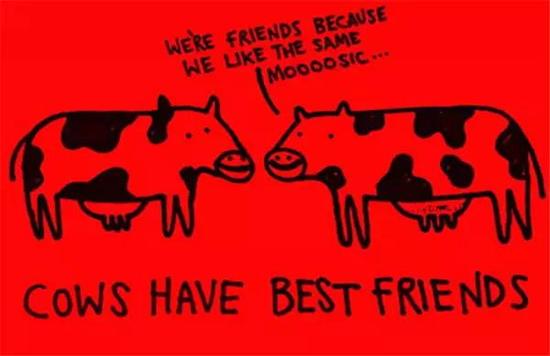别不信，奶牛都有真正的朋友。
