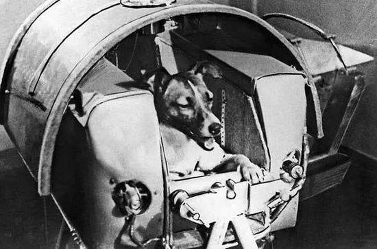 1957年，太空狗“莱卡”正待升空