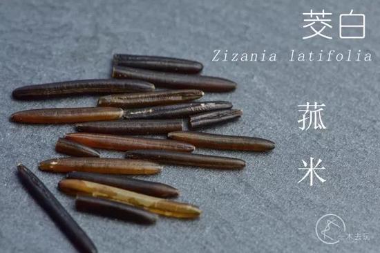植物学家秀知识的新姿势:熬一锅58种材料的腊八粥