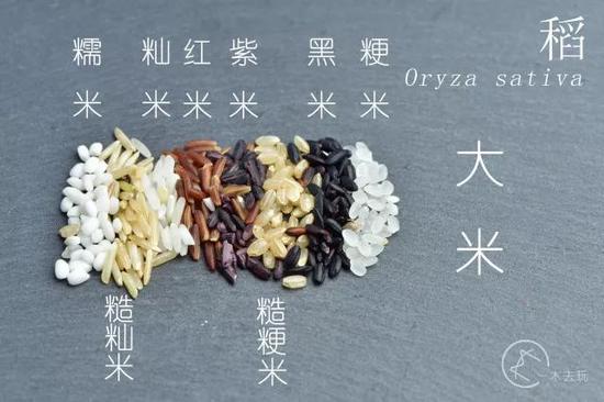 植物学家秀知识的新姿势:熬一锅58种材料的腊八粥