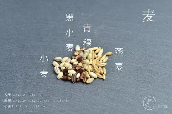 植物学家秀知识的新姿势:熬一锅58种材料的腊八粥