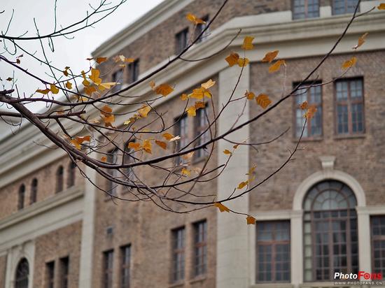 焦距:45mm ISO:200 光圈:F1.2 快门:1/2000s