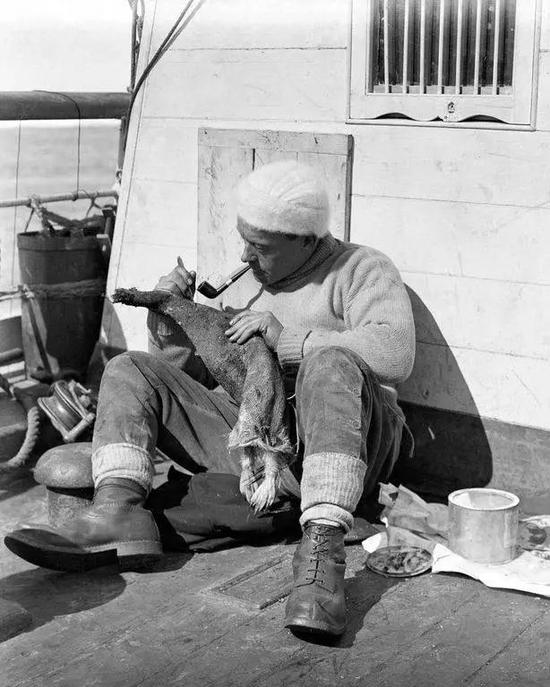 列维克正在新地探险(the Terra Nova Expedition)的船甲板上处理一只企鹅的皮。图源:HERBERT PONTING/SCOTT POLAR RESEARCH INSTITUTE, UNIVERSITY OF CAMBRIDGE/GETTY IMAGES