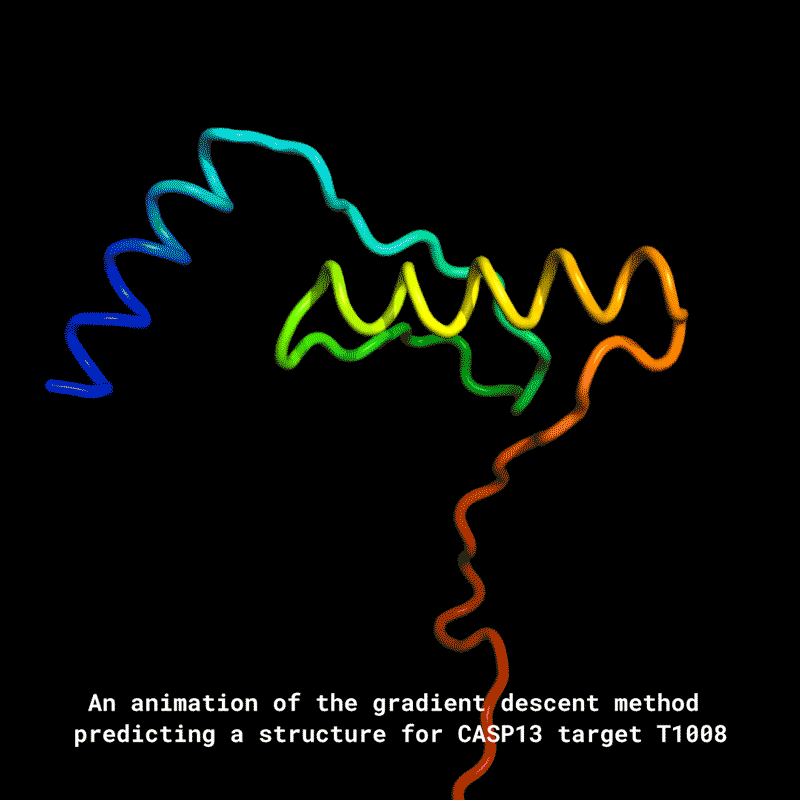 蛋白质折叠。图片来源：deepmind alphafold