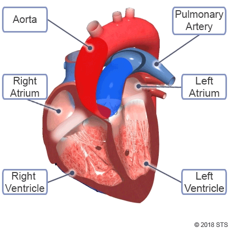 ���ǵ����࣬һ�̲�ͣ������