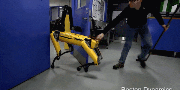 与“人形”机器人相比,这些“狗形”机器人吃的苦并算不了什么。