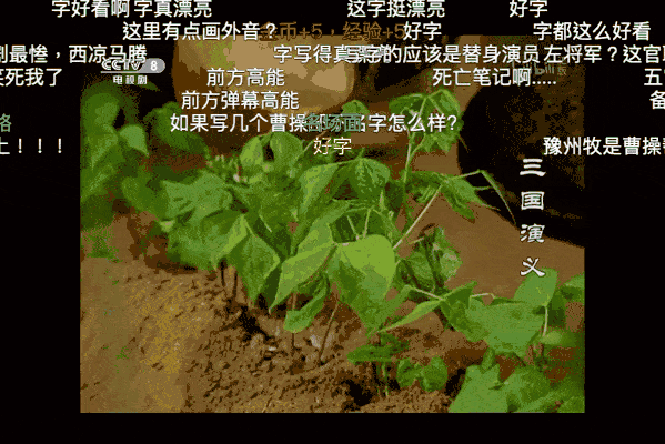 头图来自:《三国演义》剧照截图