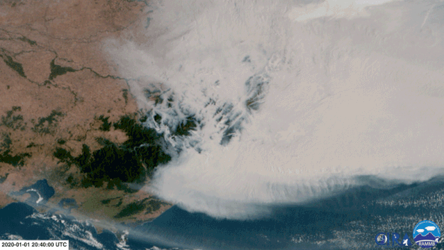  卫星图像显示大火造成的烟雾吹向了新西兰。（图片来源：RAMMB/CIRA/CSU）