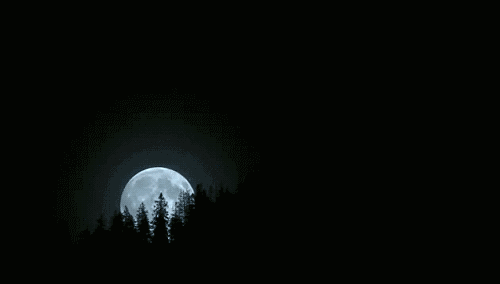 (图自:tumblr)