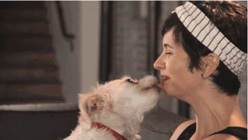 图源:BuzzFeed