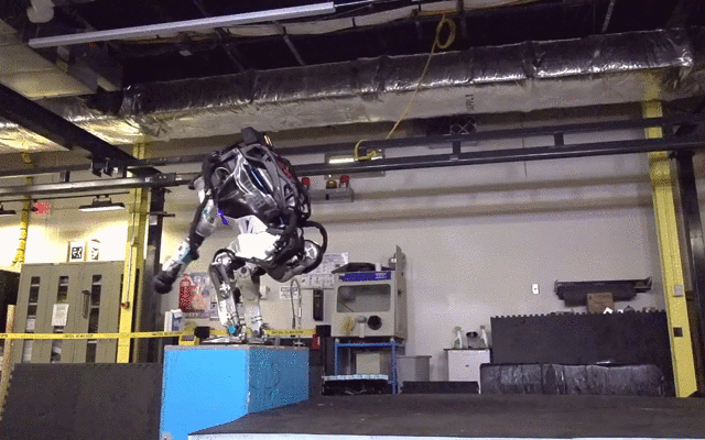 去年5月,Atlas在一片大草地上自由自在的奔跑。