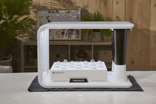 aspara智能种植器