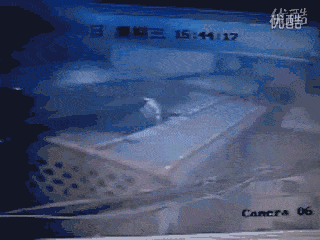 ▲曾经爆火的最悲催“翻墙哥”